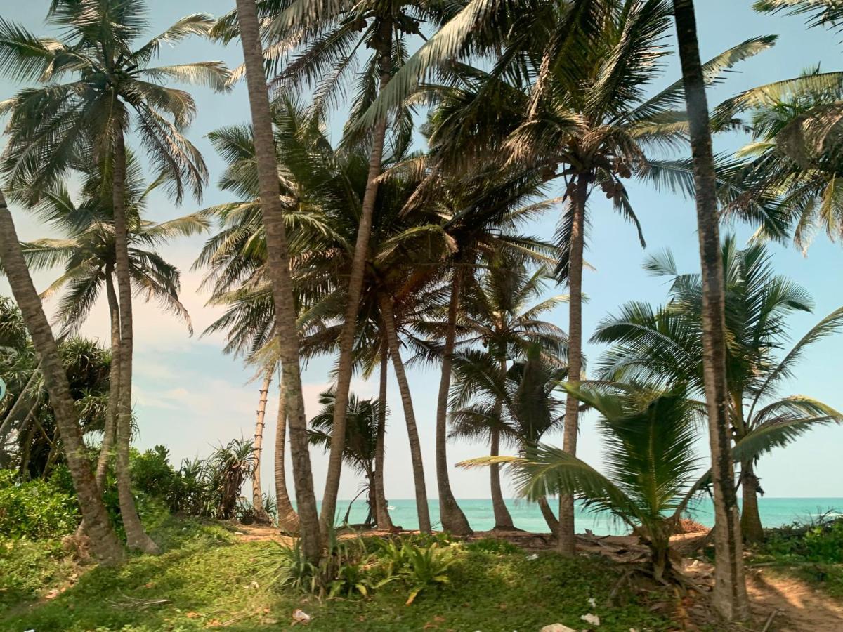 Tranquil Private Villa Near Bentota Beach ภายนอก รูปภาพ