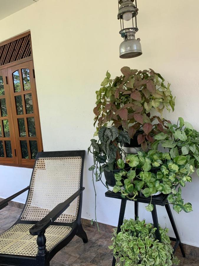 Tranquil Private Villa Near Bentota Beach ภายนอก รูปภาพ
