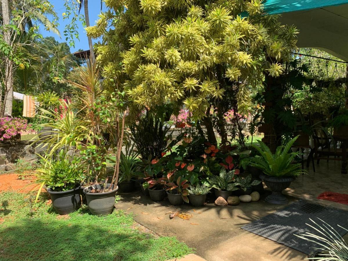 Tranquil Private Villa Near Bentota Beach ภายนอก รูปภาพ