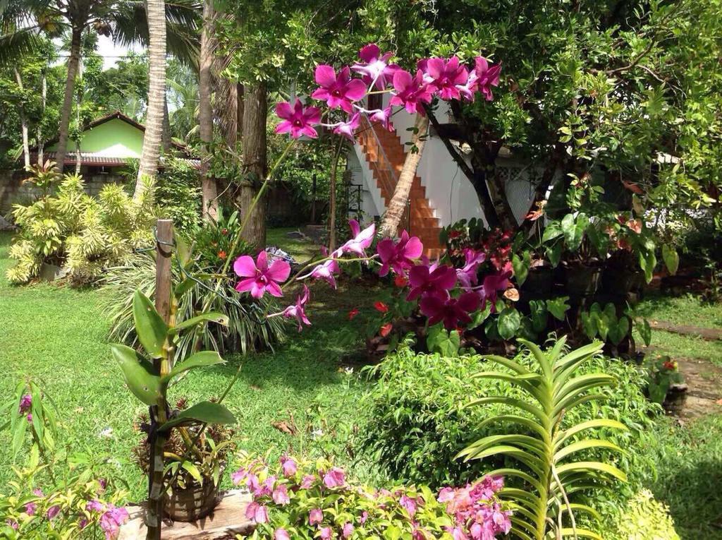 Tranquil Private Villa Near Bentota Beach ภายนอก รูปภาพ